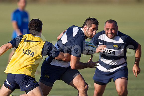 Entrenamiento / Training Pumas