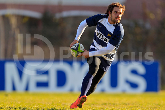 Entrenamiento / Training Pumas
