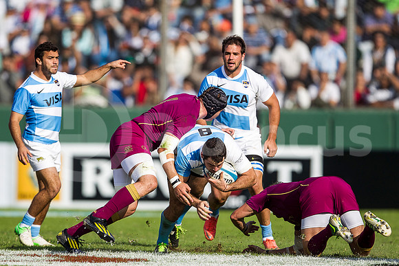 PUMAS VS INGLATERRA (SALTA)