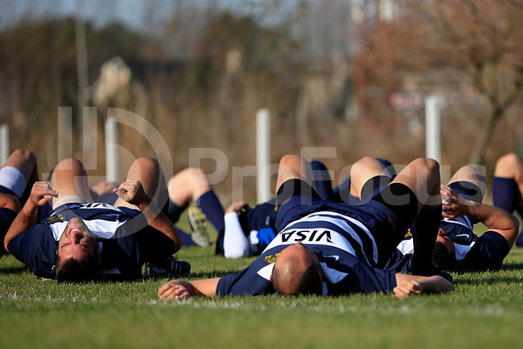 Entrenamiento / Training Pumas