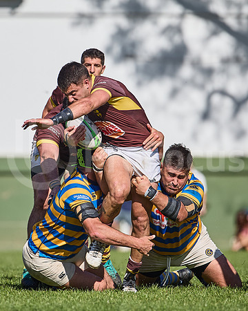 URBA Top 12 - Fecha 21 - Belgrano Athletic vs Hindú 42 a 29