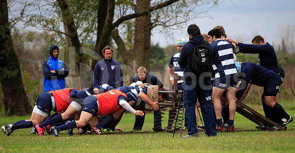 Entrenamiento / Training Pumas