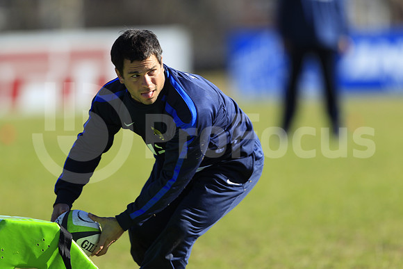 Entrenamiento / Training Pumas
