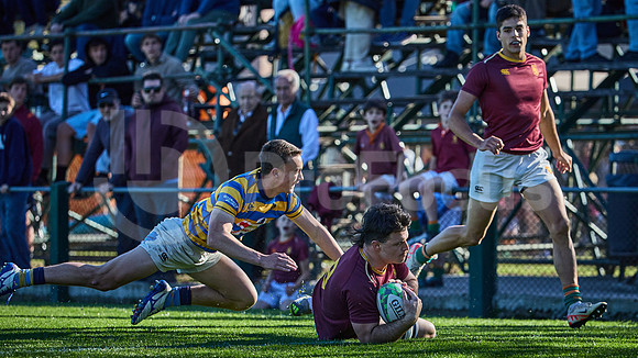 Fecha 19 - URBA Top 12 Copa Macro - Newman ante Hindú 40 a 7