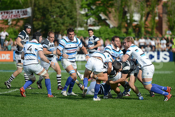 URBA TOP 14