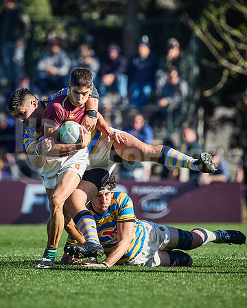 Fecha 19 - URBA Top 12 Copa Macro - Newman ante Hindú 40 a 7