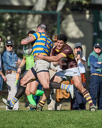 URBA Top 12 - Fecha 21 - Belgrano Athletic vs Hindú 42 a 29