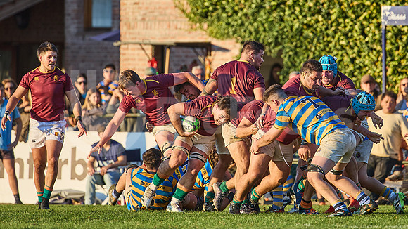 URBA Top 12 Copa Macro: Hindú vs Newman 22 a 40