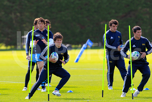 Entrenamiento / Training Pumas