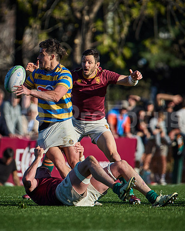 Fecha 19 - URBA Top 12 Copa Macro - Newman ante Hindú 40 a 7