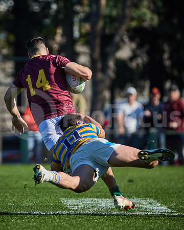 Fecha 19 - URBA Top 12 Copa Macro - Newman ante Hindú 40 a 7