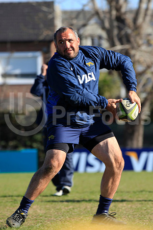 Entrenamiento / Training Pumas