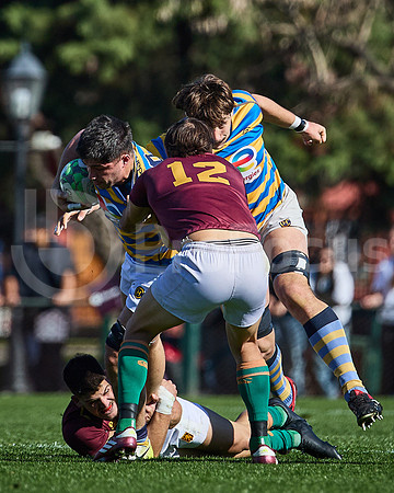 Fecha 19 - URBA Top 12 Copa Macro - Newman ante Hindú 40 a 7