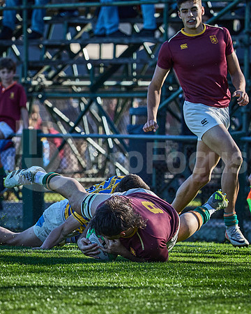 Fecha 19 - URBA Top 12 Copa Macro - Newman ante Hindú 40 a 7