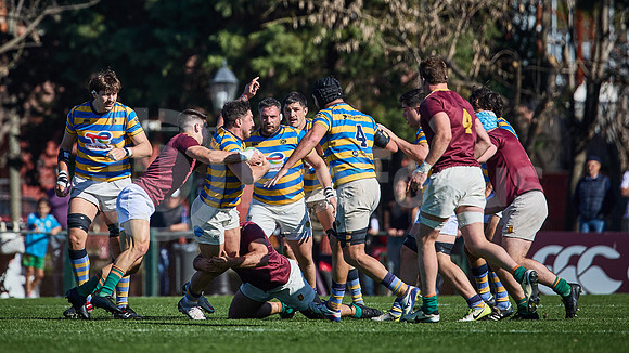 Fecha 19 - URBA Top 12 Copa Macro - Newman ante Hindú 40 a 7
