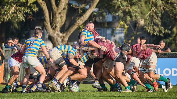 URBA Top 12 Copa Macro: Hindú vs Newman 22 a 40