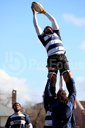 Entrenamiento / Training Pumas