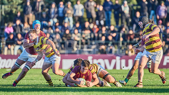 URBA Top 12 Copa Macro: Newman ante Belgrano 26 a 56