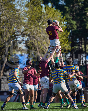 Fecha 19 - URBA Top 12 Copa Macro - Newman ante Hindú 40 a 7