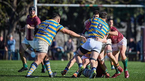 Fecha 19 - URBA Top 12 Copa Macro - Newman ante Hindú 40 a 7