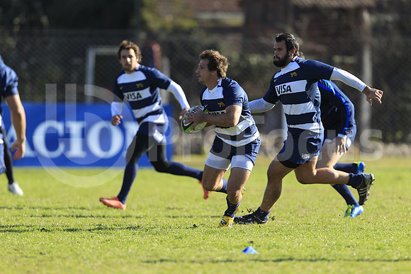 Entrenamiento / Training Pumas