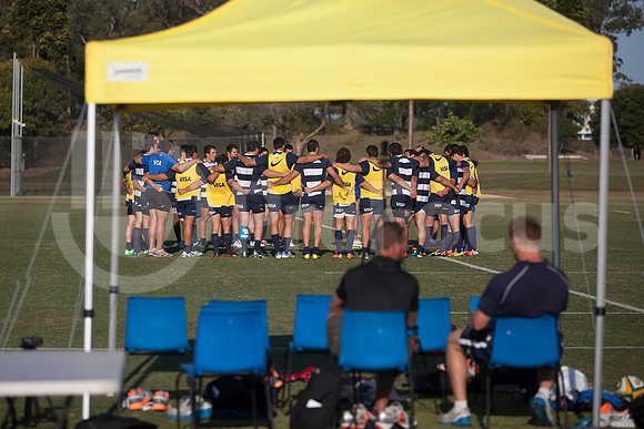 Entrenamiento / Training Pumas