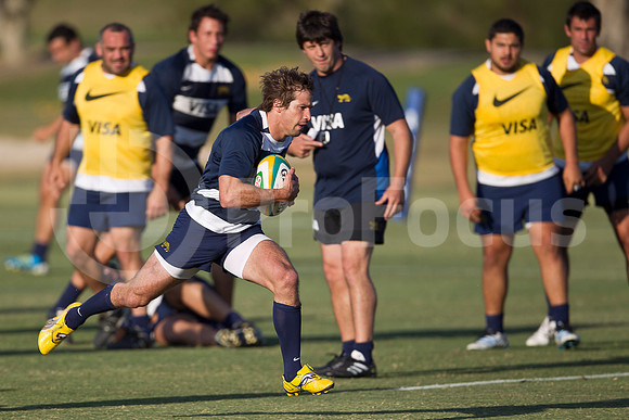 Entrenamiento / Training Pumas