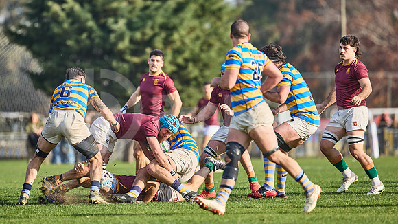 URBA Top 12 Copa Macro: Hindú vs Newman 22 a 40