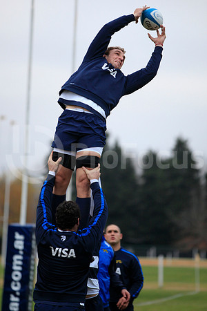 Entrenamiento / Training Pumas