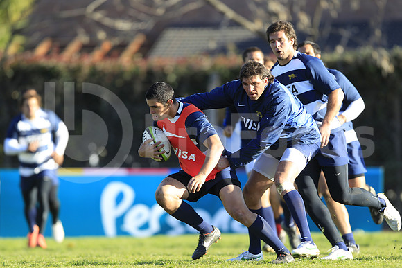 Entrenamiento / Training Pumas