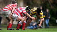 M 19 ALUMNI 20 vs BELGRANO 24