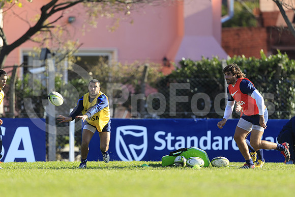 Entrenamiento / Training Pumas