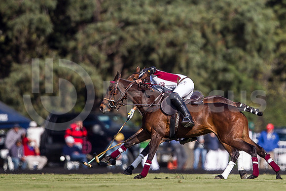 POLO - ABIERTO TORTUGAS 2013