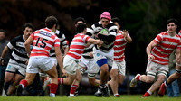 M 19 ALUMNI 46 vs CASI 17