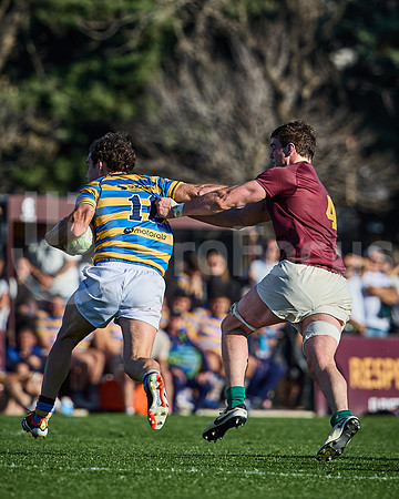 Fecha 19 - URBA Top 12 Copa Macro - Newman ante Hindú 40 a 7