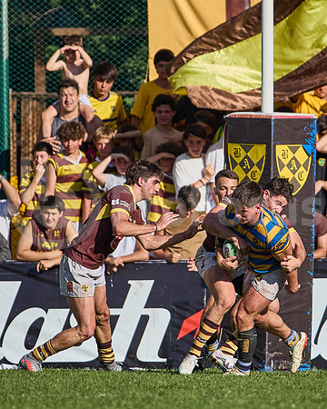 URBA Top 12 - Fecha 21 - Belgrano Athletic vs Hindú 42 a 29