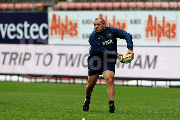 Entrenamiento / Training Pumas