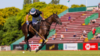 ELLERSTINA 13 vs 11 LA ALBERTINA