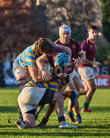 URBA Top 12 Copa Macro: Hindú vs Newman 22 a 40