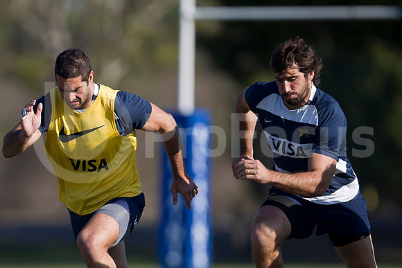 Entrenamiento / Training Pumas
