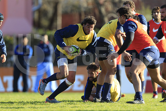 Entrenamiento / Training Pumas