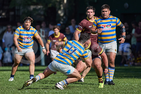 URBA Top 12 - Fecha 21 - Belgrano Athletic vs Hindú 42 a 29