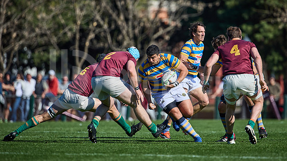 Fecha 19 - URBA Top 12 Copa Macro - Newman ante Hindú 40 a 7