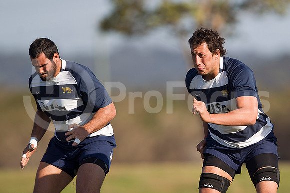 Entrenamiento / Training Pumas