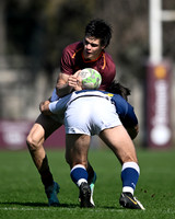 M 19NEWMAN 34 vs CHAMPAGNAT 32