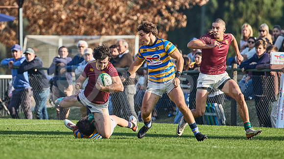 URBA Top 12 Copa Macro: Hindú vs Newman 22 a 40