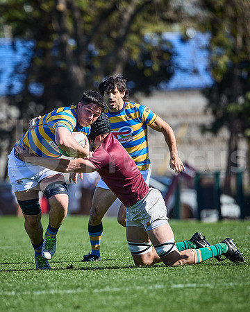 Fecha 19 - URBA Top 12 Copa Macro - Newman ante Hindú 40 a 7
