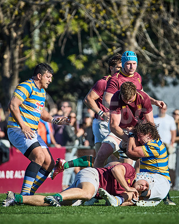 Fecha 19 - URBA Top 12 Copa Macro - Newman ante Hindú 40 a 7