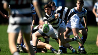 M 16 SIC 22 vs CASI 11