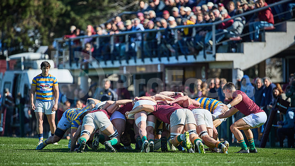 Fecha 19 - URBA Top 12 Copa Macro - Newman ante Hindú 40 a 7